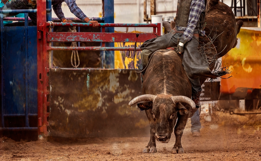 Rodeo.